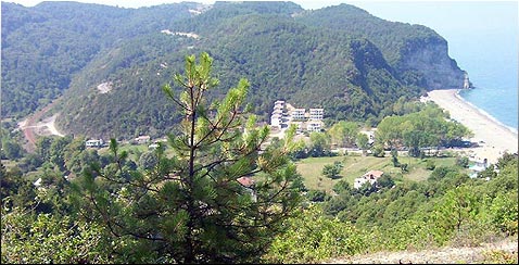 Göbü Village (Downside & Coast)